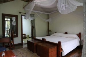 room (1)
